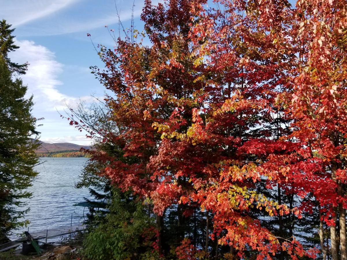 La Parade Du Huard - Lac Et Spa Saint Sebastien Eksteriør bilde